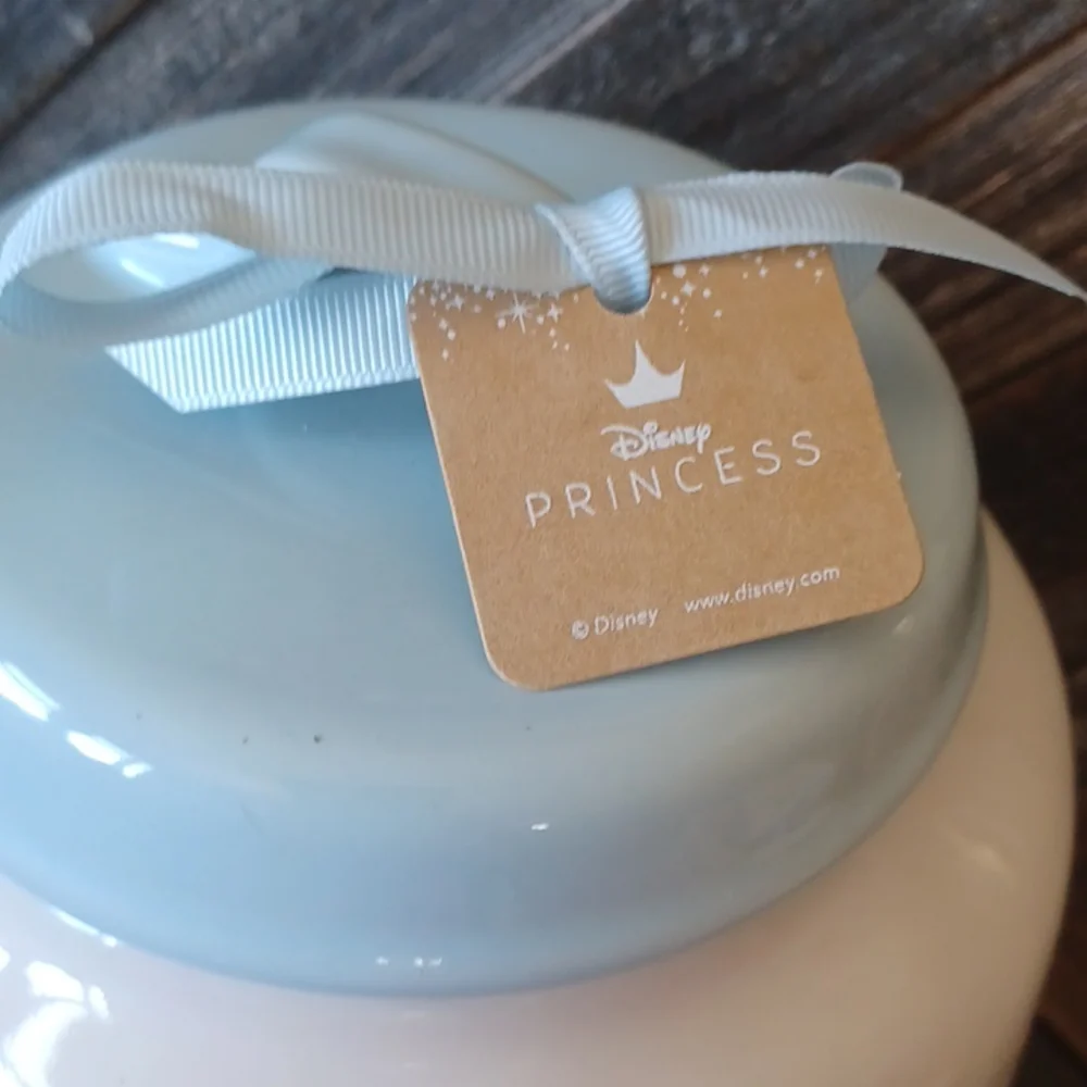 DISNEY RAE DUNN PRIMCESS A DREAM IS A WISH - Picture 2 of 7